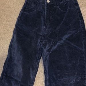 Velvet Pacsun High Waisted pants